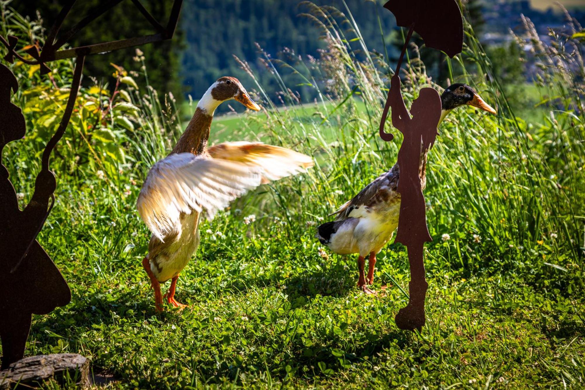 Вілла Gschwandtgut Urlaub Am Bauernhof Schwemmberg Екстер'єр фото