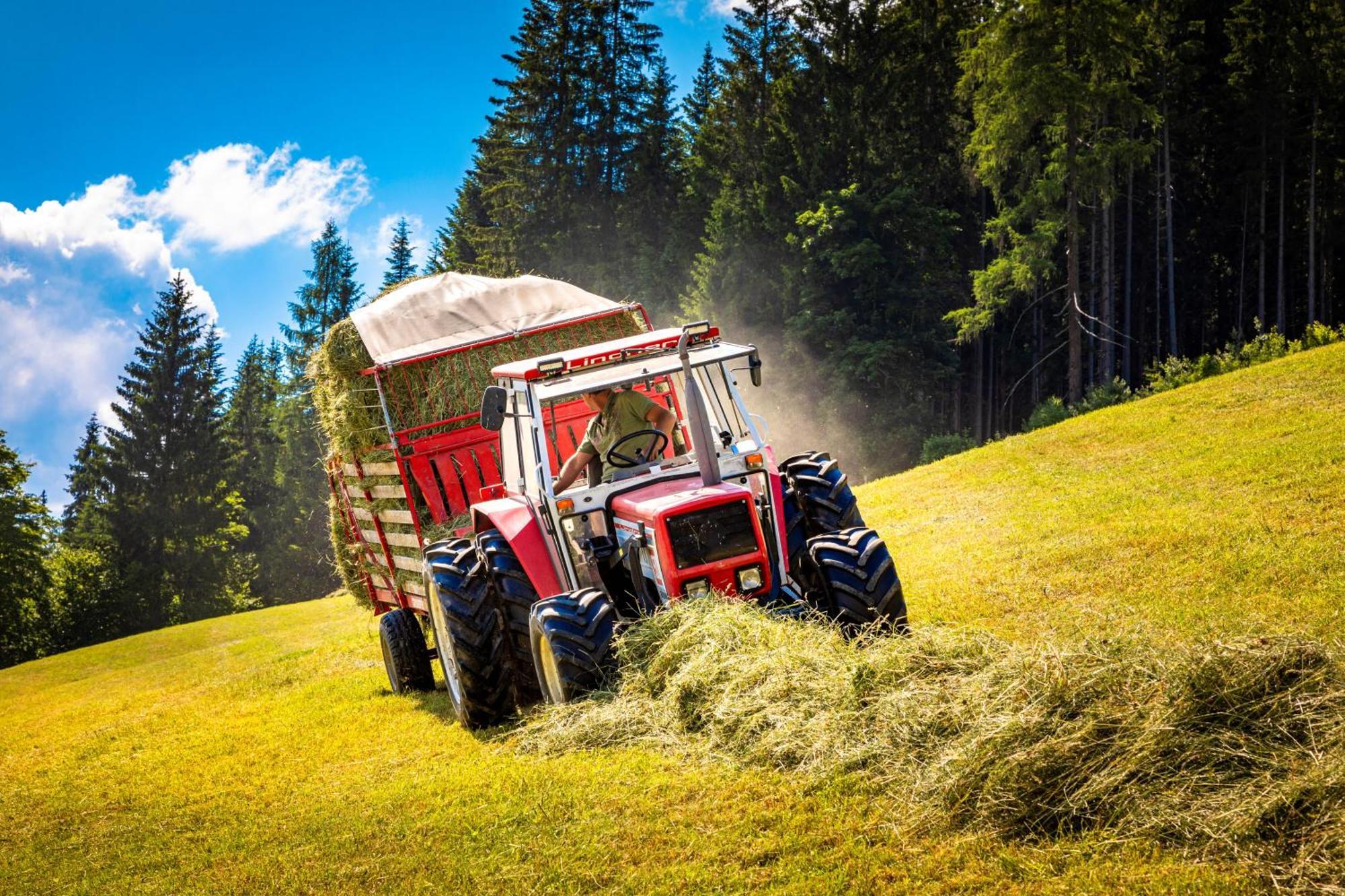 Вілла Gschwandtgut Urlaub Am Bauernhof Schwemmberg Екстер'єр фото